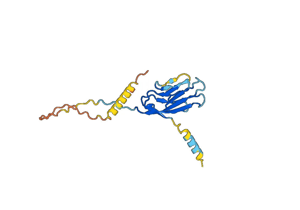 CD366 / HAVCR2 / TIM-3, C-His, recombinant protein