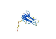 CD40 ligand(CD40LG)