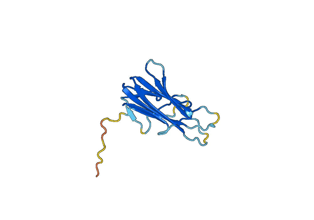 CD40 ligand(CD40LG)