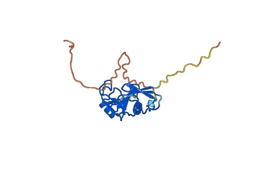 CD44 recombinant protein