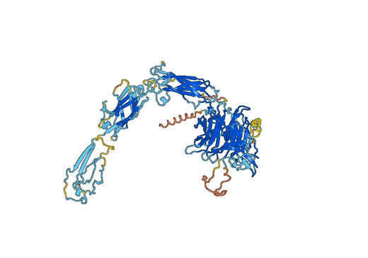CD49f / ITGA6, C-His, recombinant protein