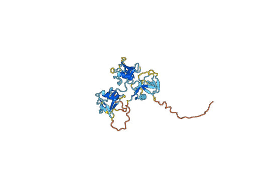 CD5 Recombinant Protein