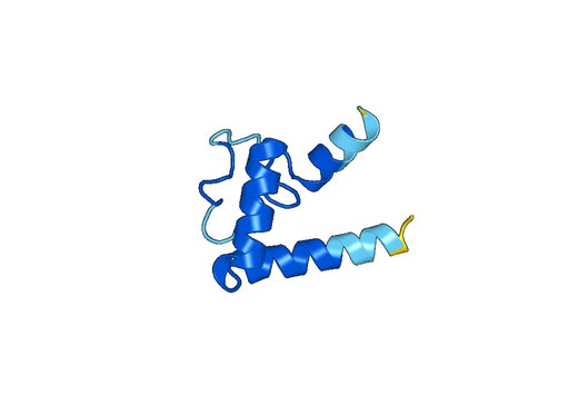 CD53 Recombinant Protein