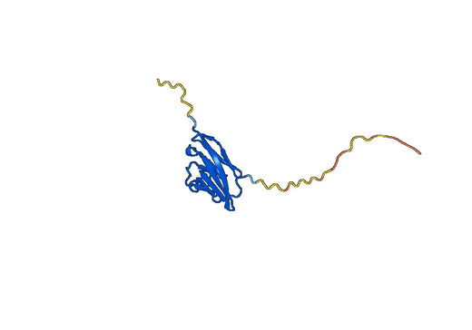 CD66d recombinant protein