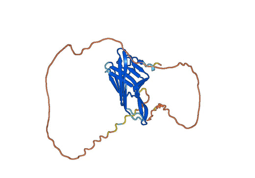 CD68, N-His, recombinant protein