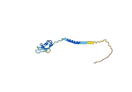 CD79&alpha / CD79A, N-His, recombinant protein