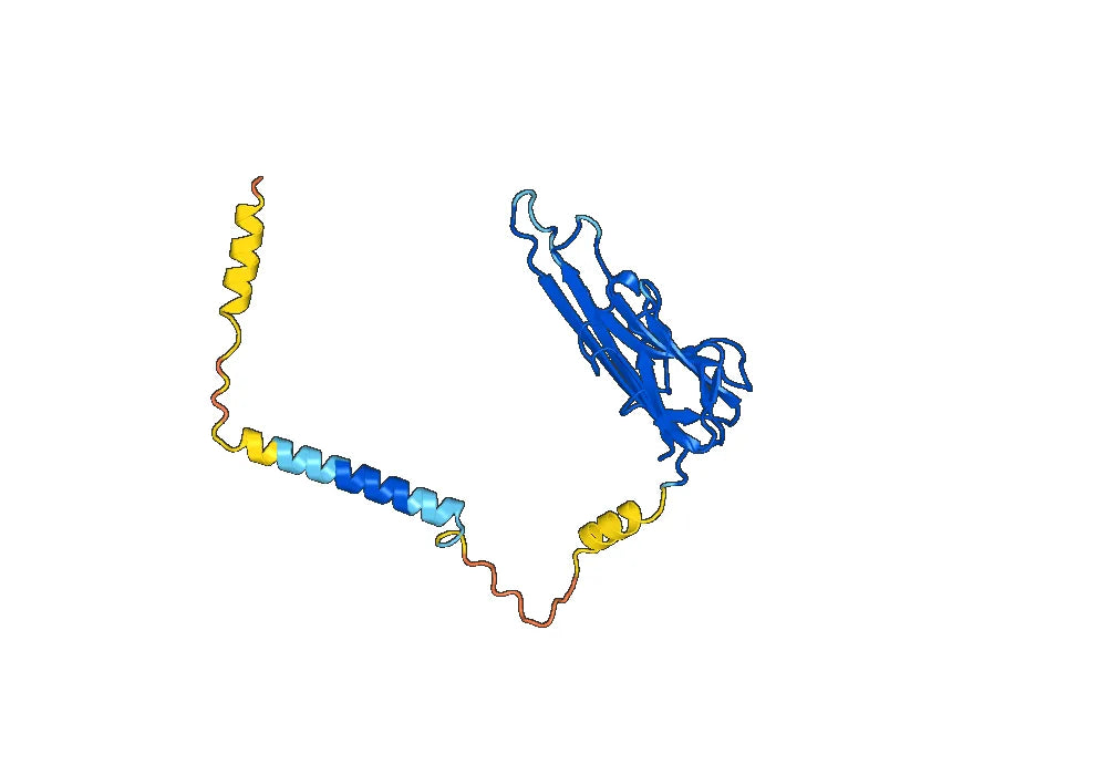 CDP571 Biosimilar - Anti-TNFSF2, TNF alpha, TNFA mAb - Research Grade