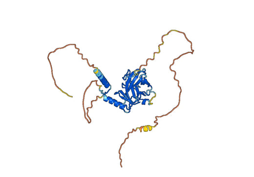 Cellular tumor antigen p53(TP53)