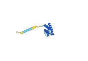Cendakimab Biosimilar - Anti-IL13 mAb - Research Grade