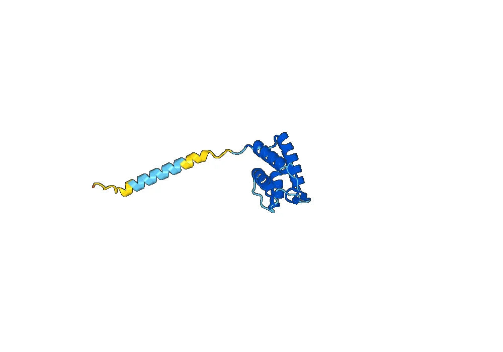 Cendakimab Biosimilar - Anti-IL13 mAb - Research Grade