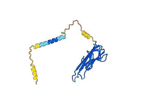 Certolizumab ELISA Kit