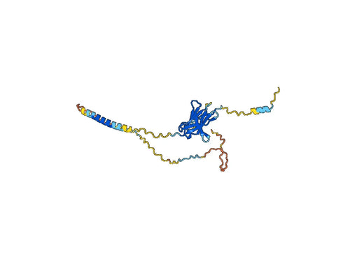 Cetrelimab ELISA Kit