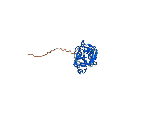 CFD, N-His, recombinant protein