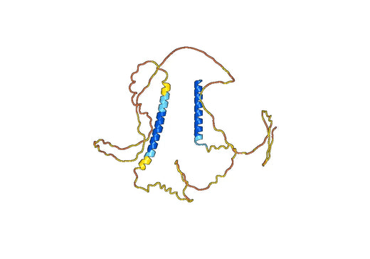 CHGA, N-His, recombinant protein