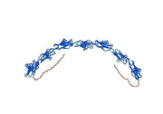 Cibisatamab Biosimilar - Anti-CEACAM5&CD3E;CD3E mAb - Research Grade