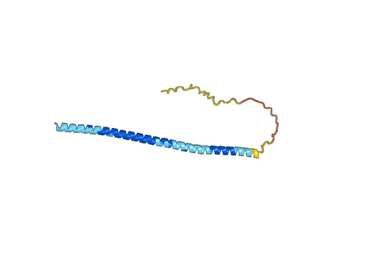 Cinpanemab ELISA Kit