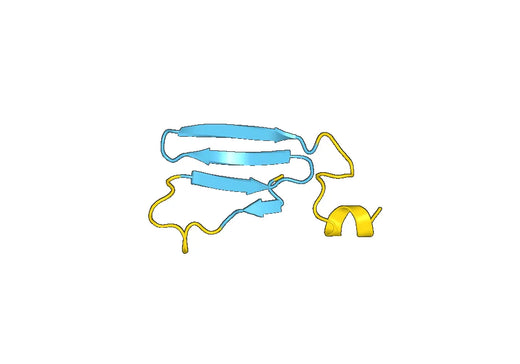 Claudin-18 (CLDN18)