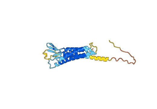 Claudin-2(CLDN2)