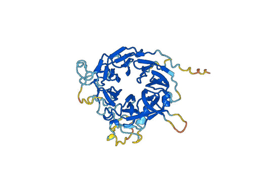 cMet recombinant protein