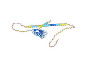 Cobolimab Biosimilar - Anti-HAVCR2, TIM3, CD366 mAb - Research Grade