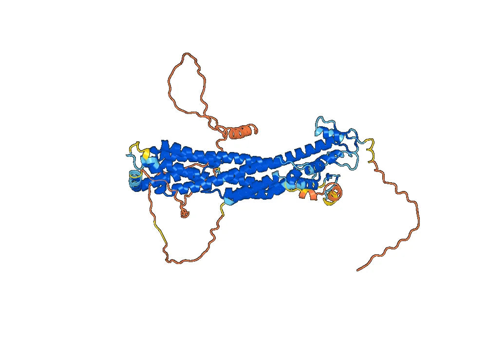 Codrituzumab Biosimilar - Anti-GPC3 mAb - Research Grade