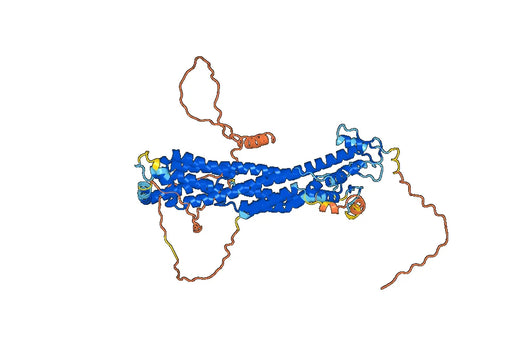 Codrituzumab ELISA Kit