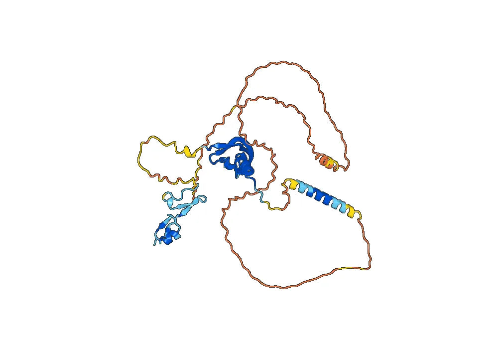 Conbercept Biosimilar - Anti-VEGFA fusion protein - Research Grade
