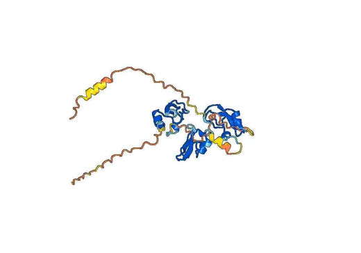 Concizumab ELISA Kit