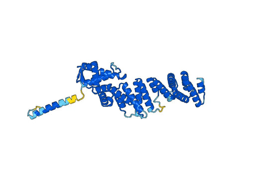 COP9 signalosome complex subunit 4(CSN4)