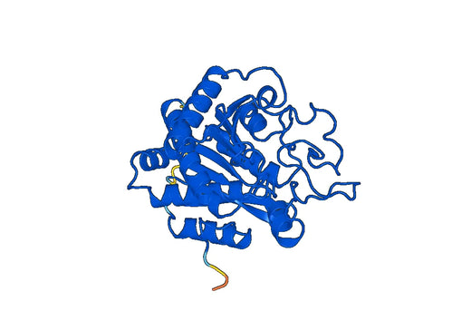 CPA3, N-GST, recombinant protein