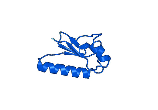 CPA4, N-His, recombinant protein