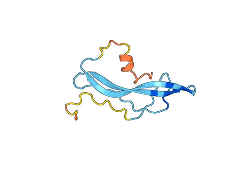 CTGF / CCN2, N-His, recombinant protein