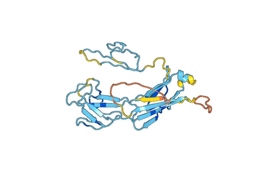CUZD1, N-GST, recombinant protein