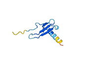 CXCL10 / IP-10, N-His, recombinant protein