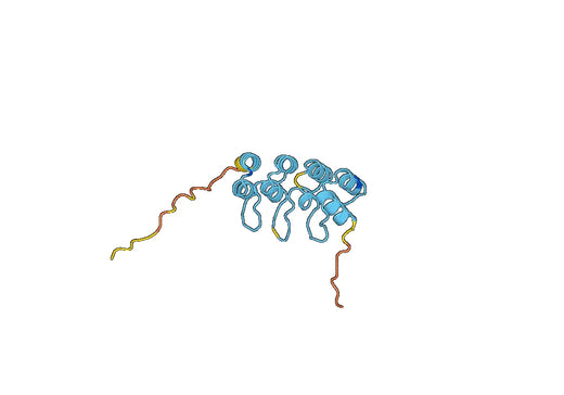 Cyclin-dependent kinase inhibitor 2A(CDKN2A)