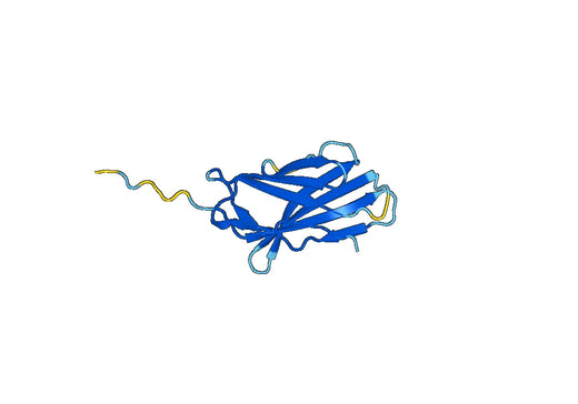 Cytotoxic T-lymphocyte protein 4(CTLA4)(Ala37-Asp161)