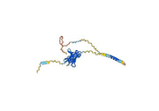 Danvilostomig Biosimilar - Anti-PD1 and CTLA4 mAb - Research Grade