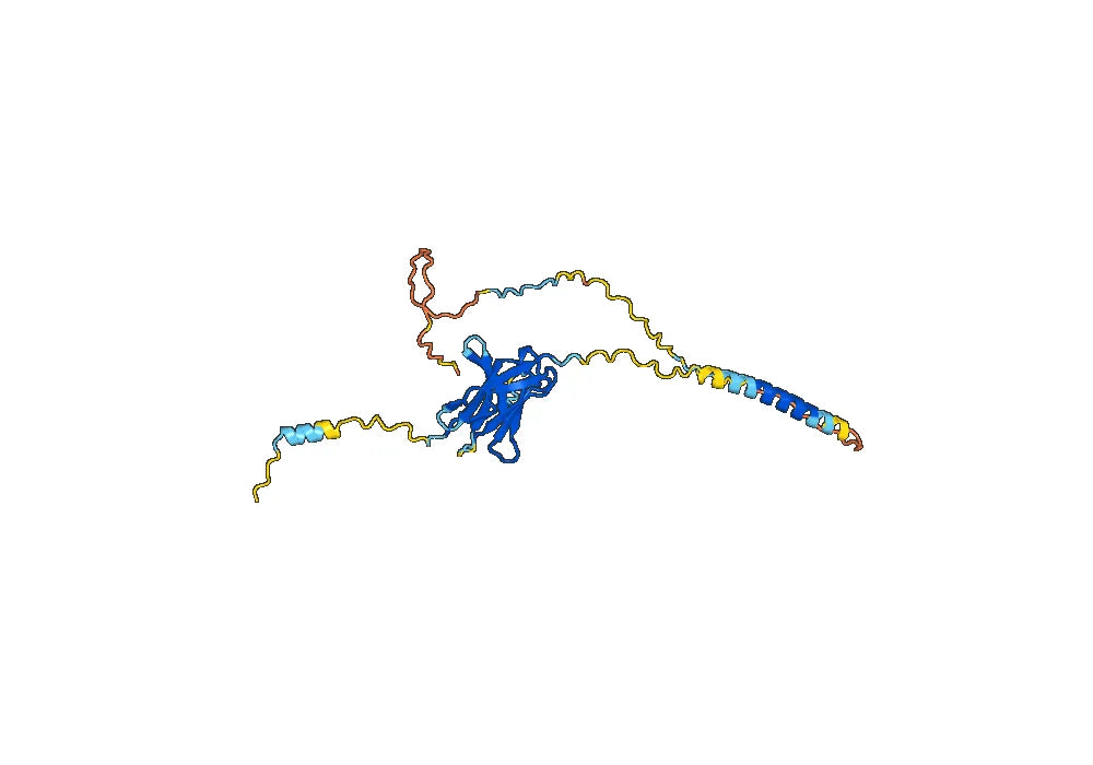 Danvilostomig Biosimilar - Anti-PD1 and CTLA4 mAb - Research Grade