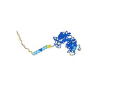 Daratumumab Biosimilar - Anti-CD38 mAb - Research Grade