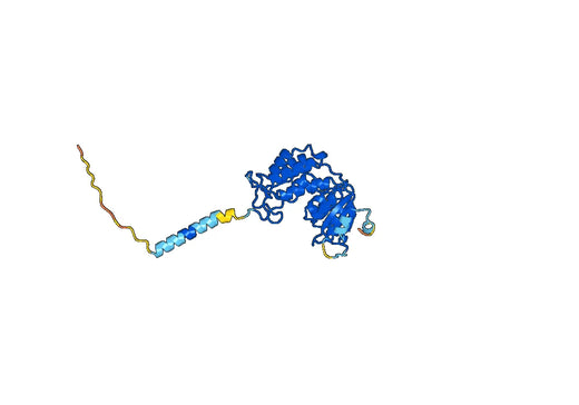 Daratumumab ELISA Kit