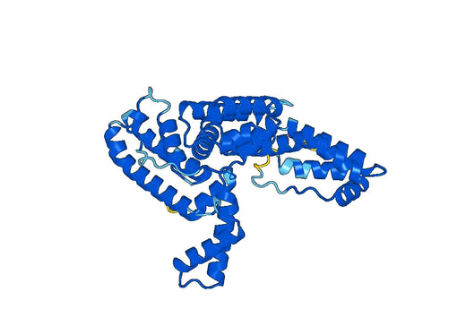 DBP / GC, N-His, recombinant protein