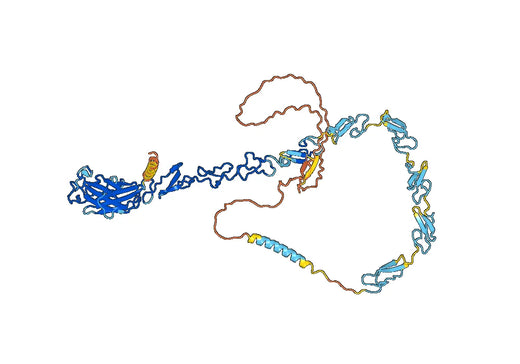 Dilpacimab ELISA Kit