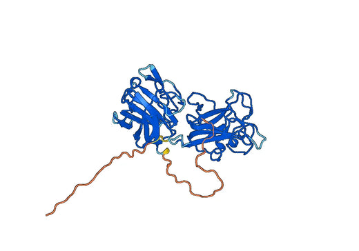 Discoidin domain-containing receptor 2(DDR2)