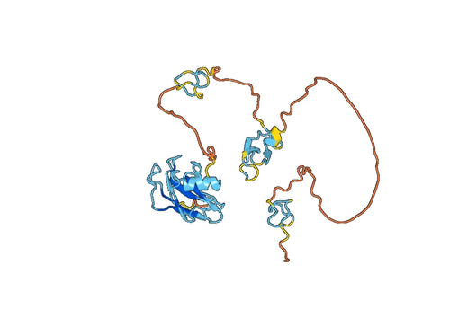 DNA topoisomerase 3-alpha (TOP3A)
