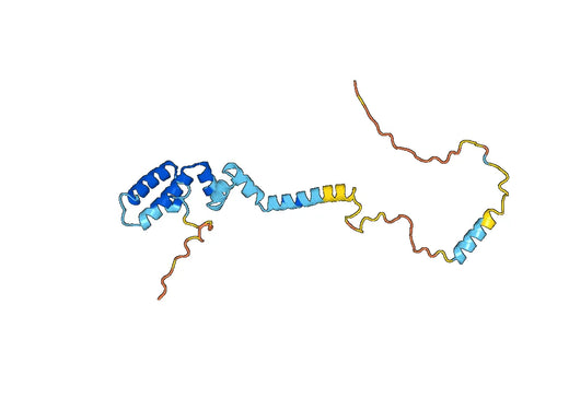 DnaJ homolog subfamily C member 5B(Dnajc5b)