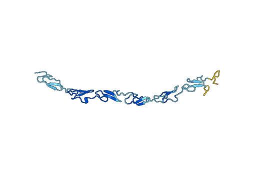 DNER, N-His, recombinant protein