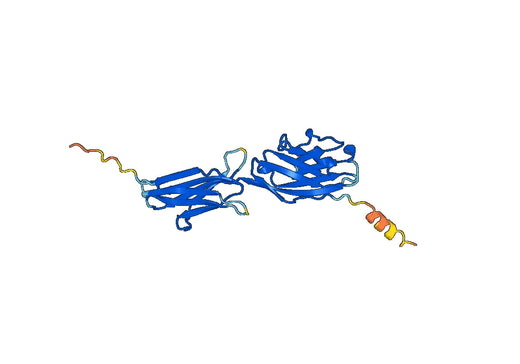 Dog CD274 recombinant protein