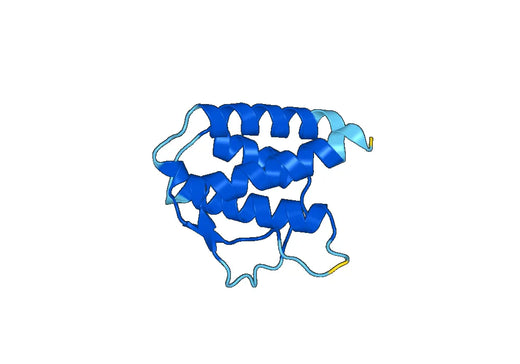 Dog IL4 recombinant protein