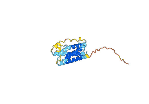 Dog IL6, C-His, recombinant protein