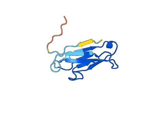DSG3 (Glu50-Ser158), C-His, recombinant protein